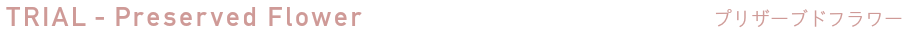 体験レッスン　プリザーブドフラワー