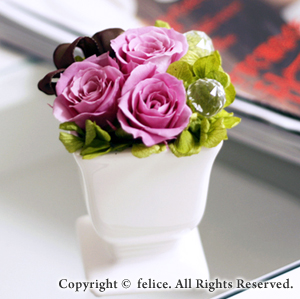 体験レッスンエヴァ