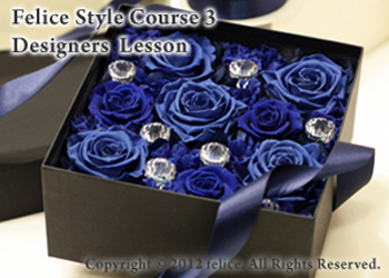 アドヴァンスコース