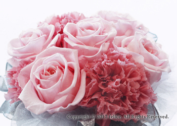 フェリーチェ認定教室開講講座